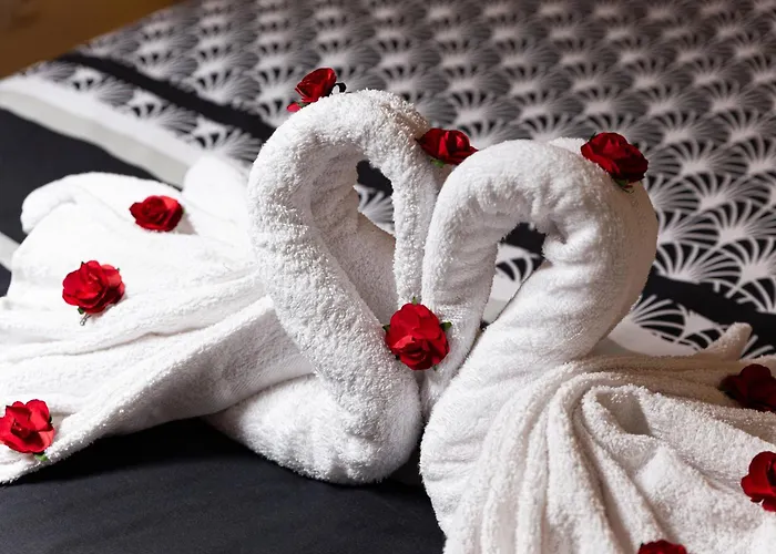 Cocon De Charme Hyper-centre アパート *